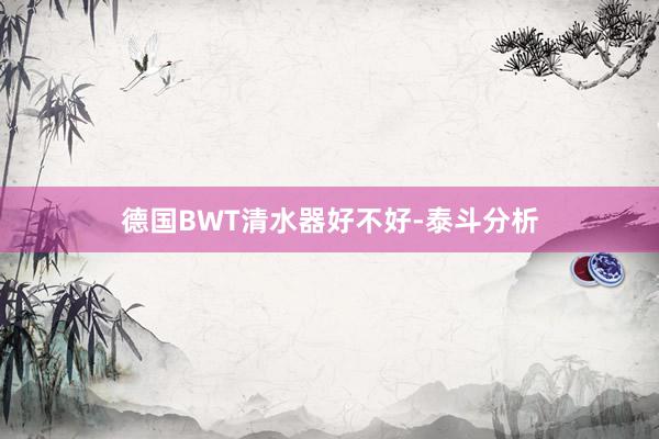 德国BWT清水器好不好-泰斗分析