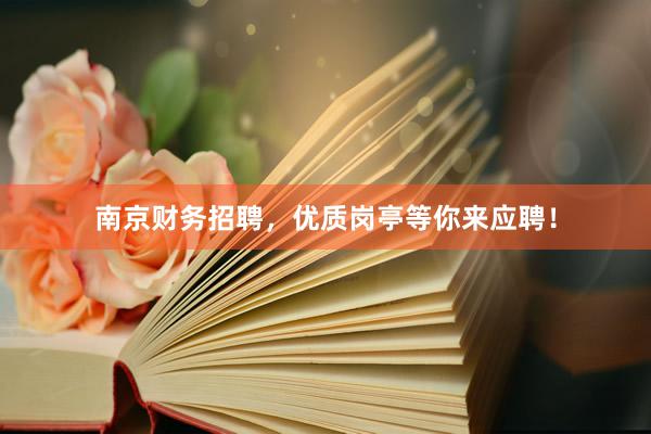 南京财务招聘，优质岗亭等你来应聘！