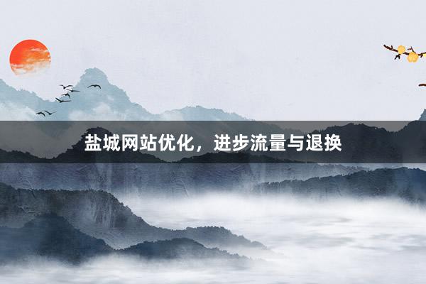 盐城网站优化，进步流量与退换